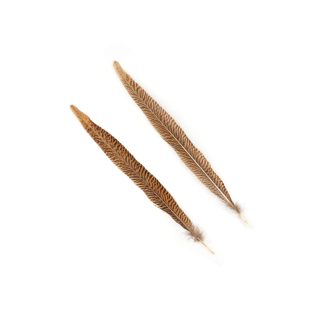 Golden Pheasant Tails Natural - 14 - 16’’ - Feathers