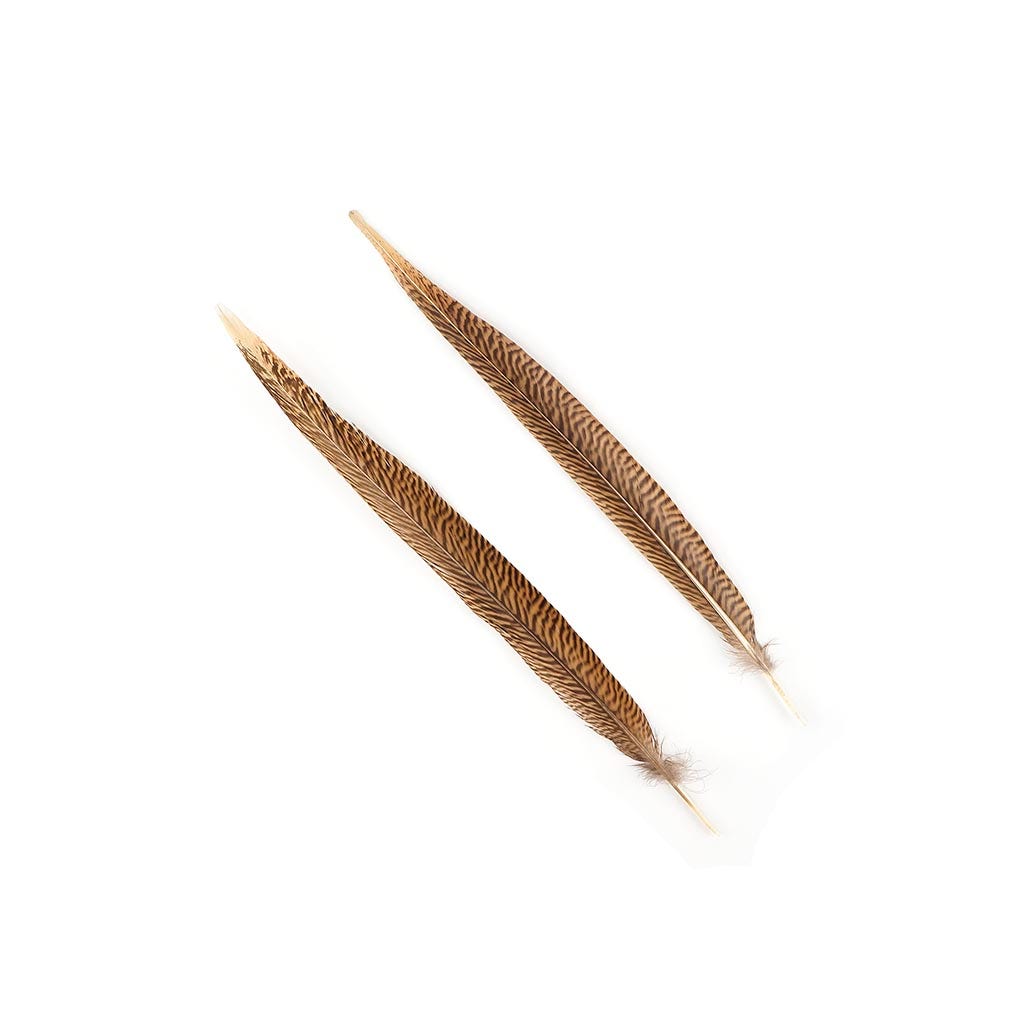 Golden Pheasant Tails Natural - 16 - 18’’ - Feathers