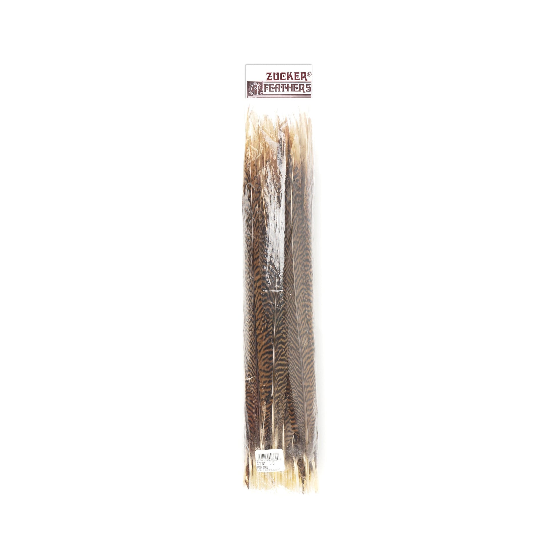 Golden Pheasant Tails Natural - 16 - 18’’ - Feathers