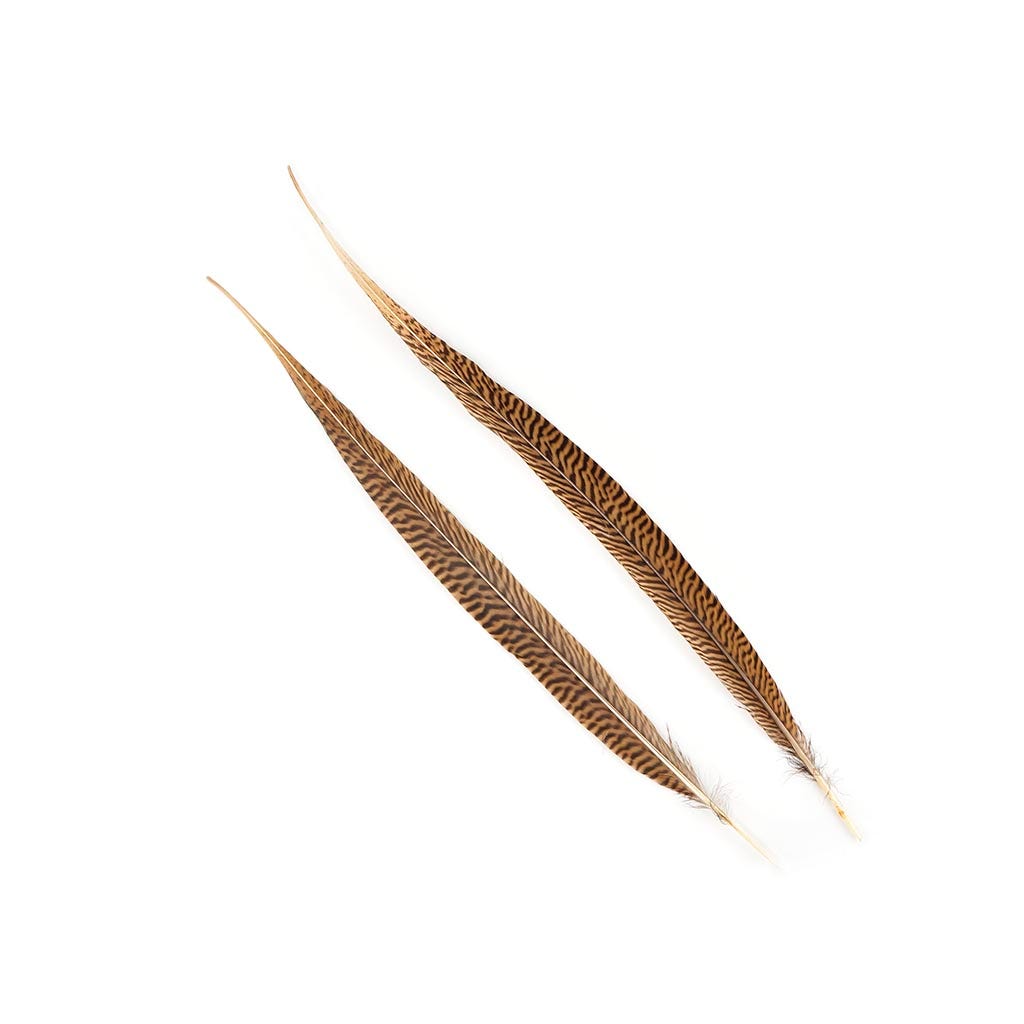 Golden Pheasant Tails Natural - 18 - 20’’ - Feathers