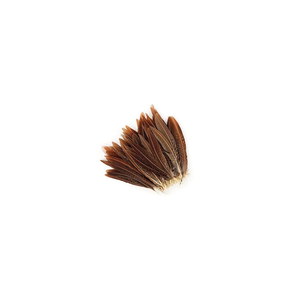 Golden Pheasant Tails Natural - 4 - 6’’ - Feathers