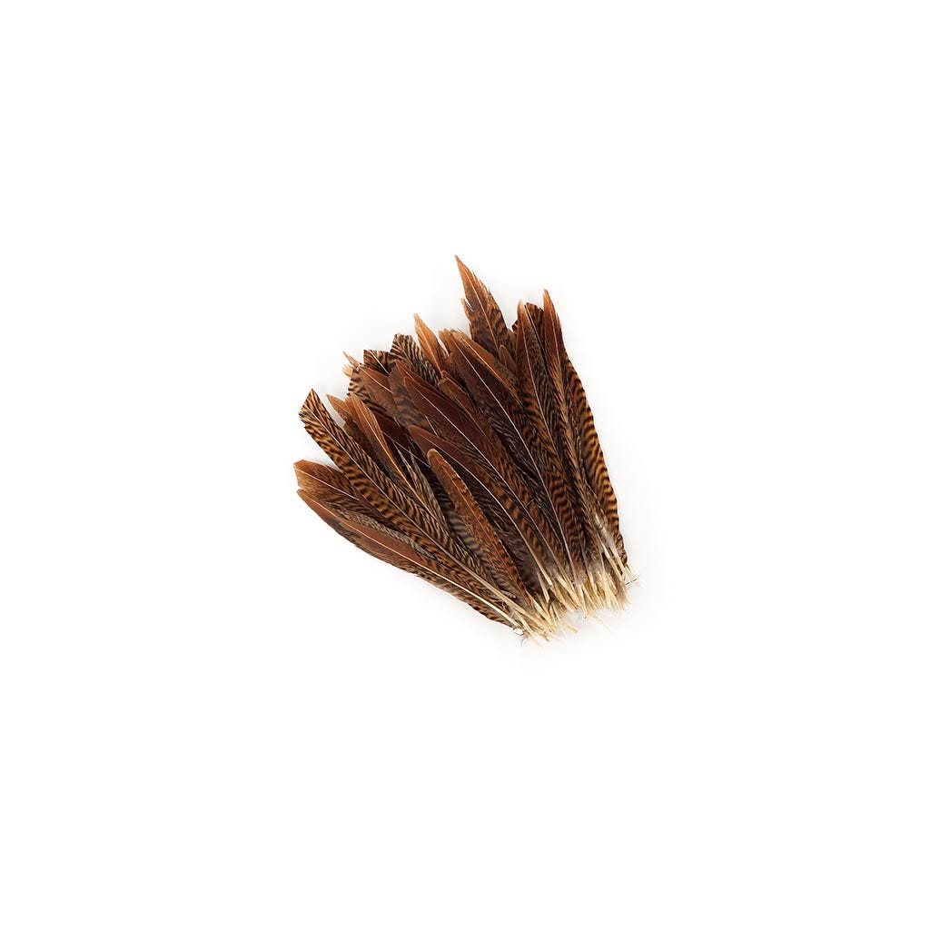 Golden Pheasant Tails Natural - 6 - 8’’ - Feathers