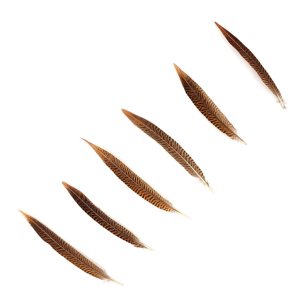 Golden Pheasant Tails Natural - 8 -10’’ - Feathers