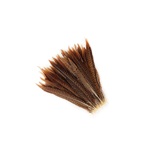 Golden Pheasant Tails Natural - 8 -10’’ - Feathers