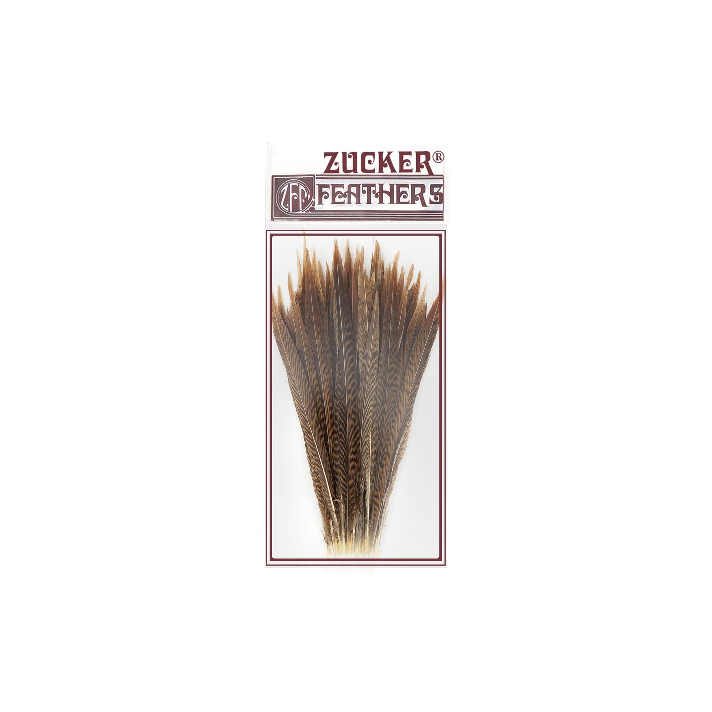 Golden Pheasant Tails Natural - 8 -10’’ - Feathers