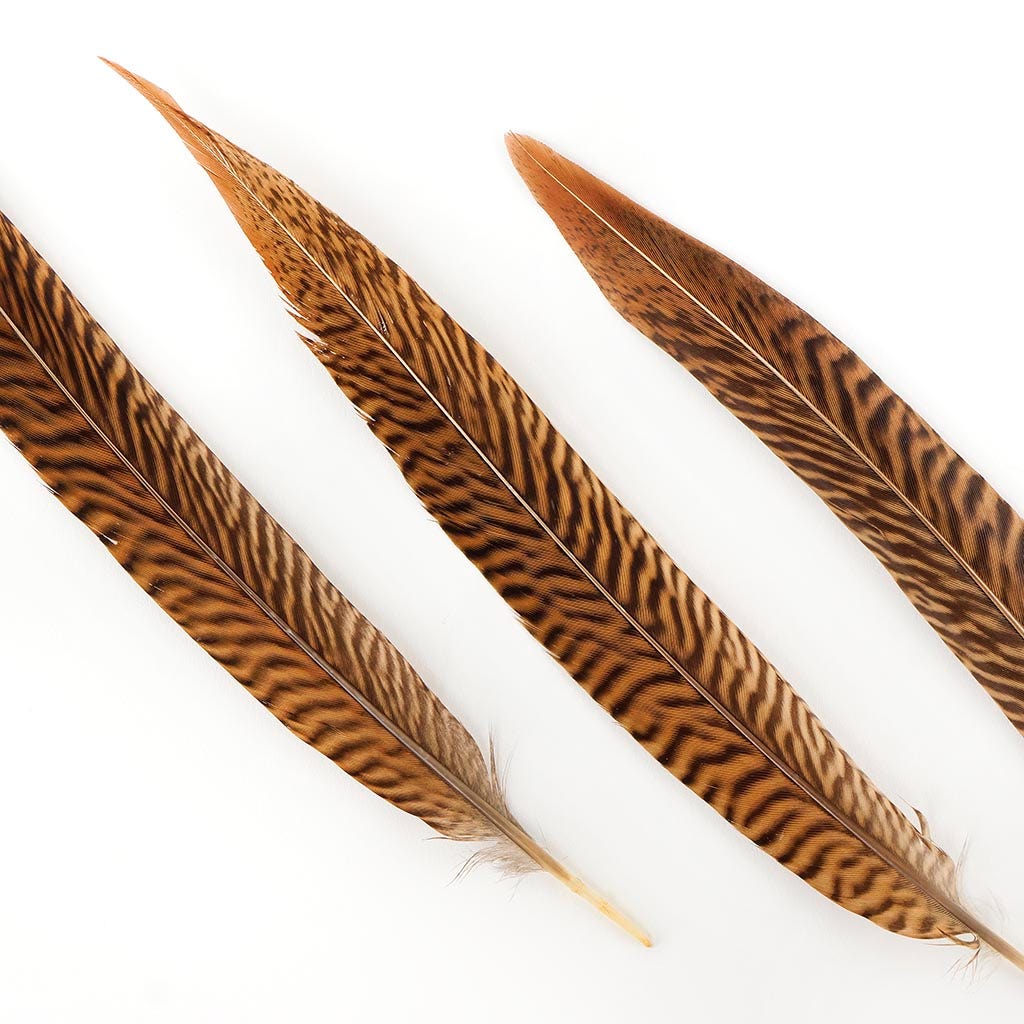 Golden Pheasant Tails Natural - 8 -10’’ - Feathers