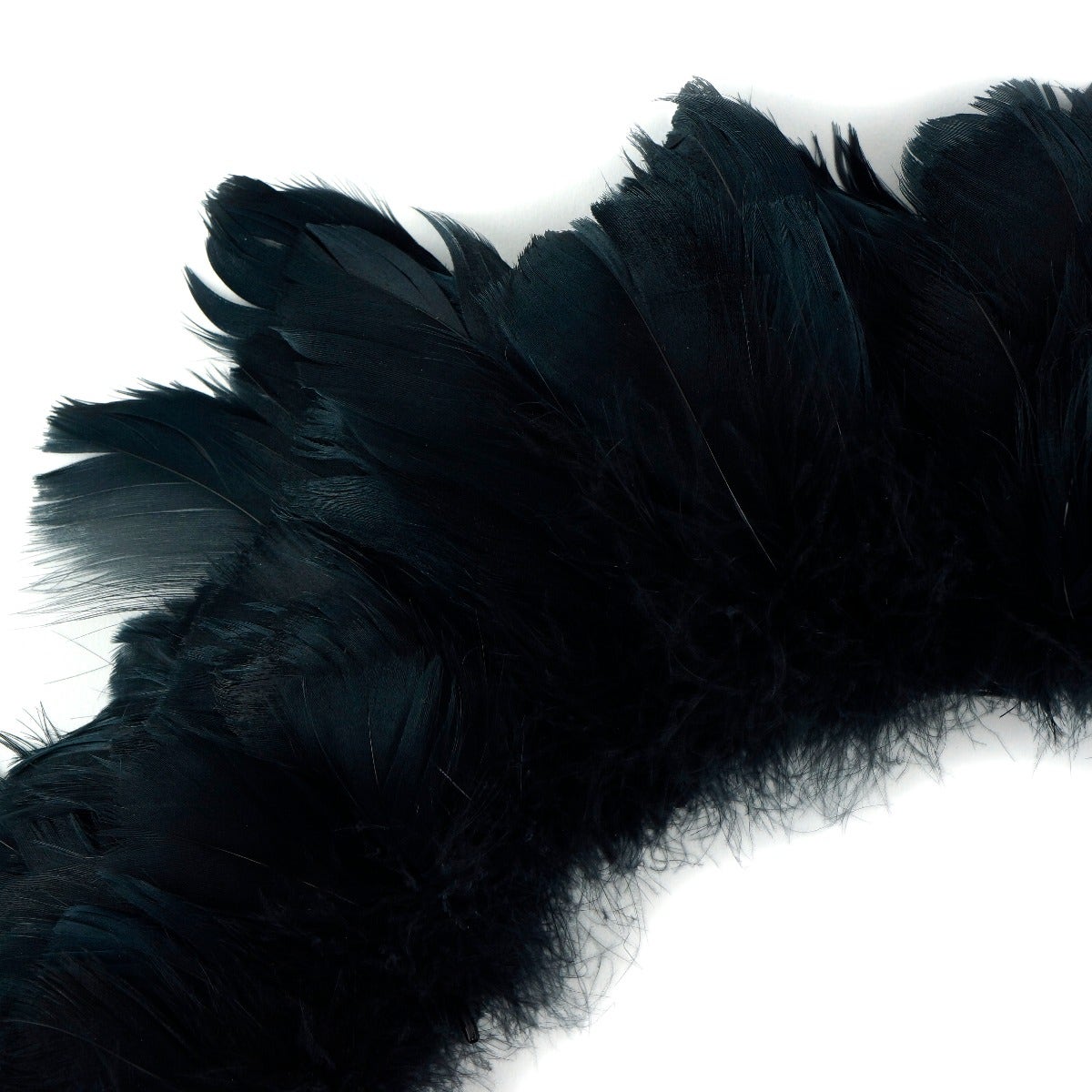 Goose Coquille Dyed Feathers - Black - Feathers