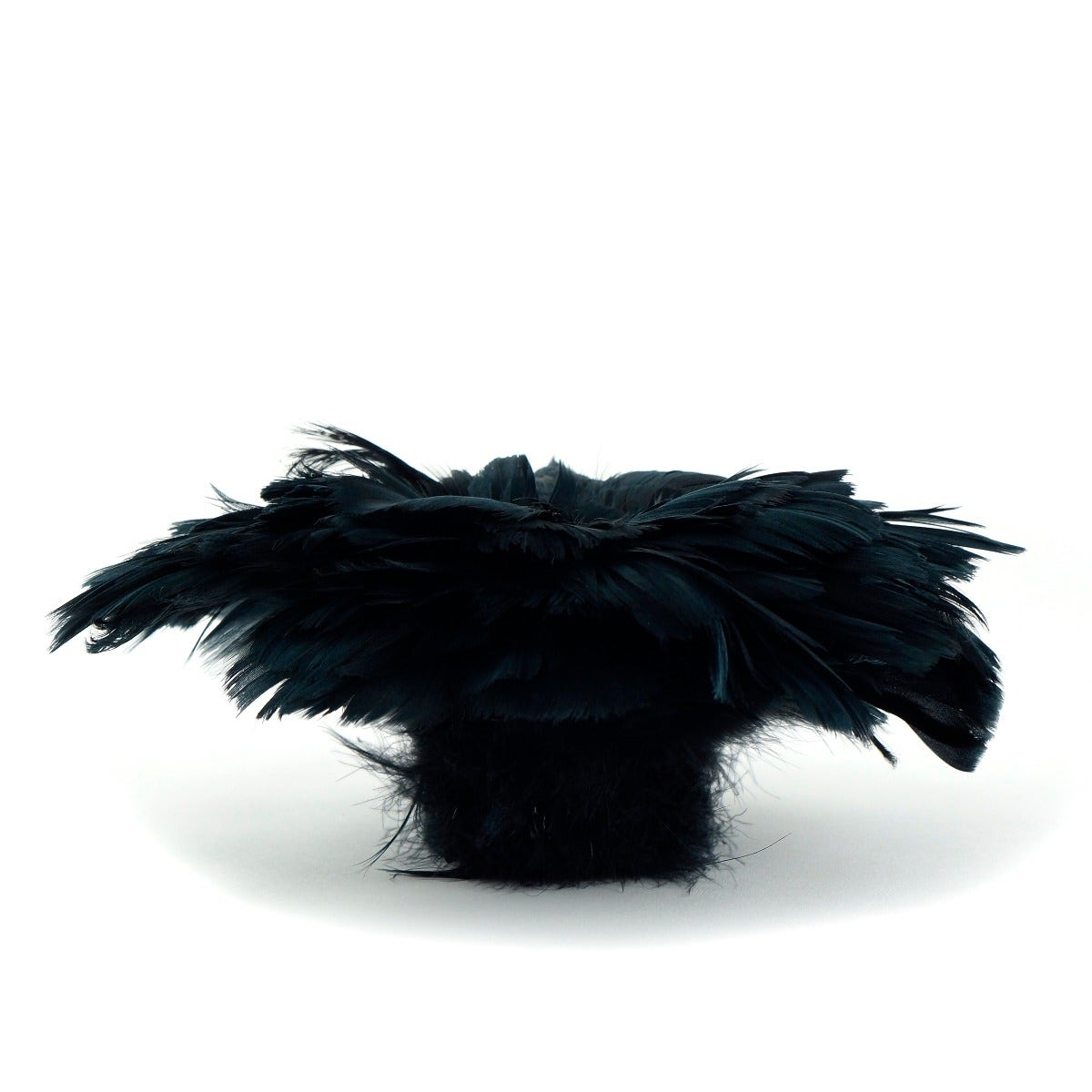 Goose Coquille Dyed Feathers - Black - Feathers