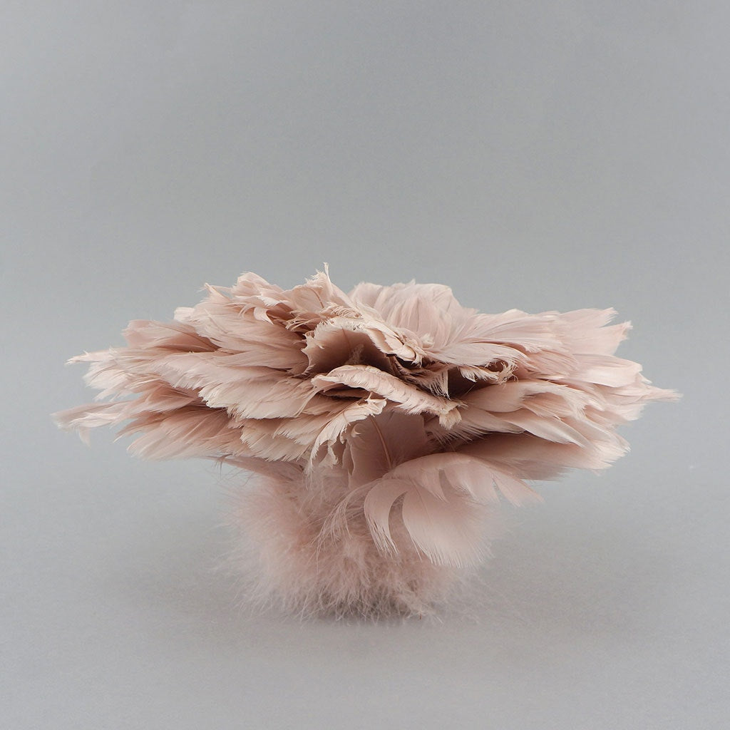 Goose Coquille Dyed Feathers - Champagne - Feathers