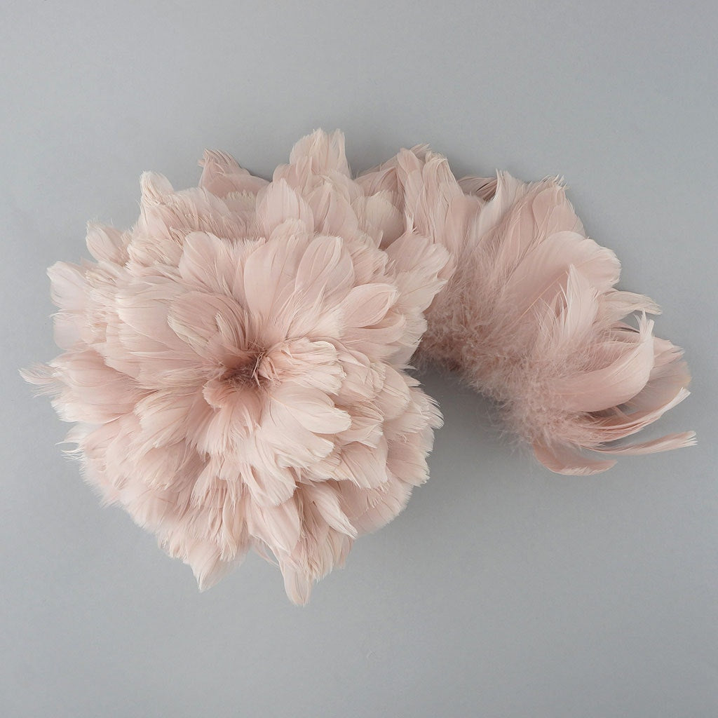 Goose Coquille Dyed Feathers - Champagne - Feathers