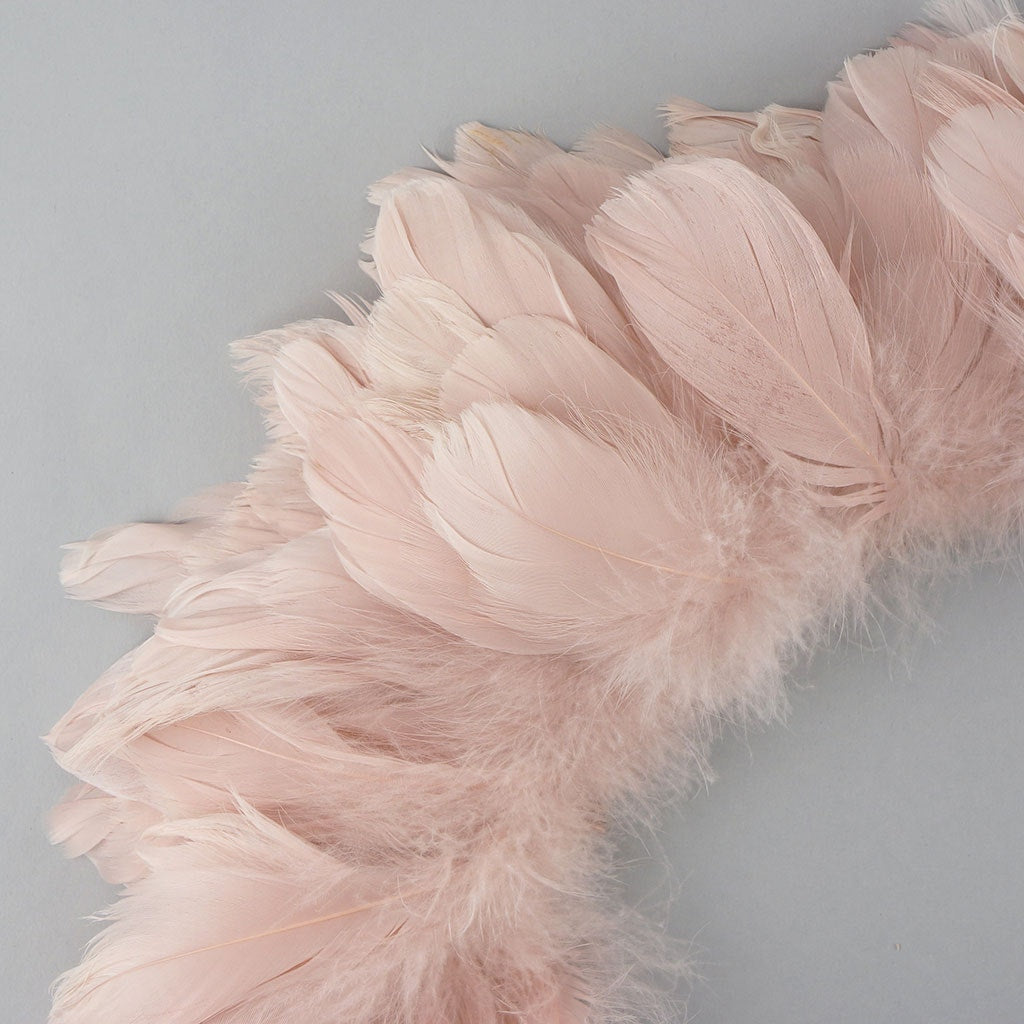 Goose Coquille Dyed Feathers - Champagne - Feathers