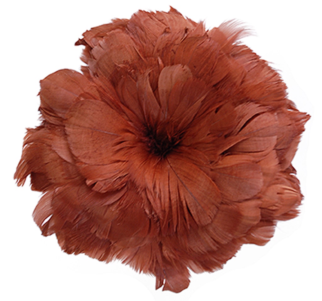 Goose Coquille Feathers Dyed - Copper - Feathers