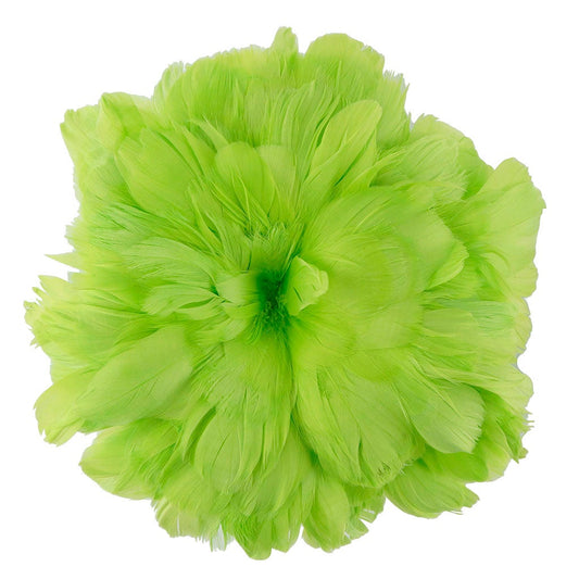 Goose Coquille Feathers Dyed Lime - Feathers