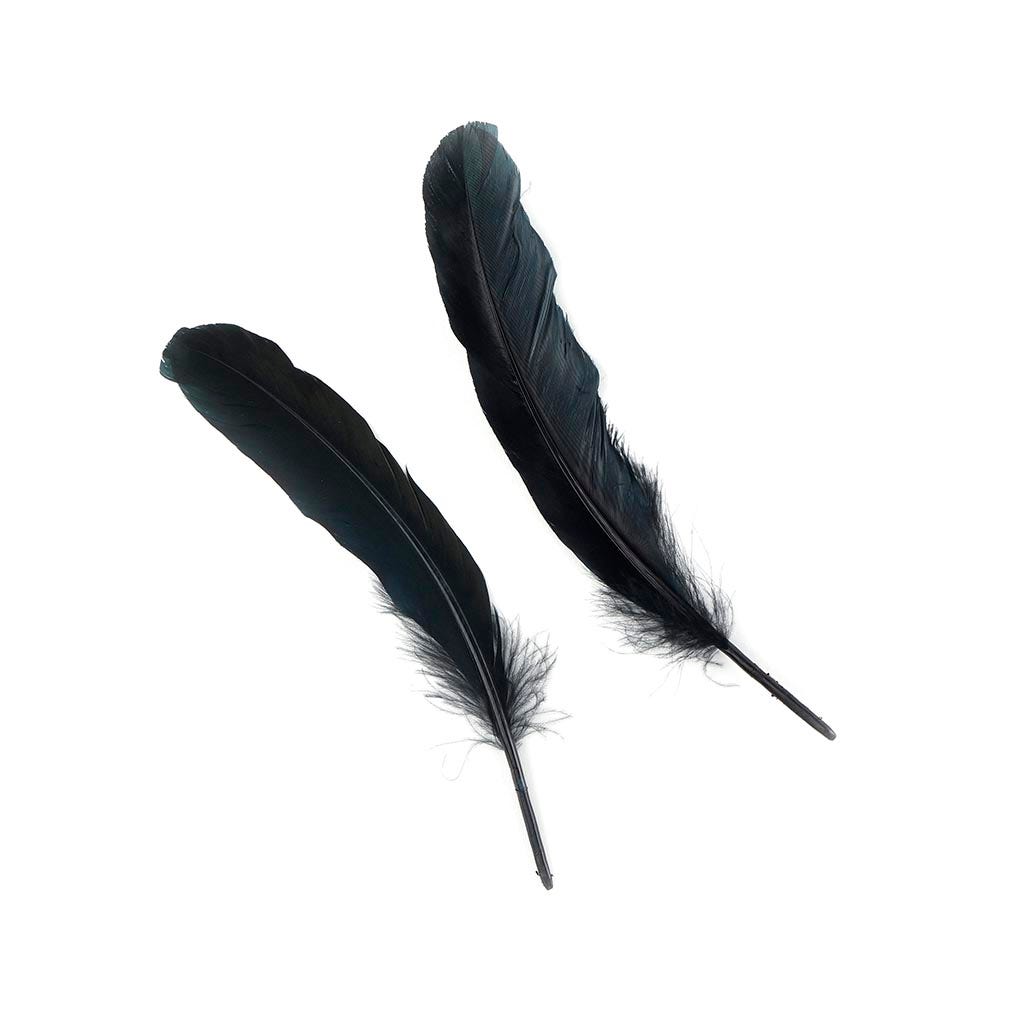 Goose Favion Feathers - Black - Iridescent - Feathers