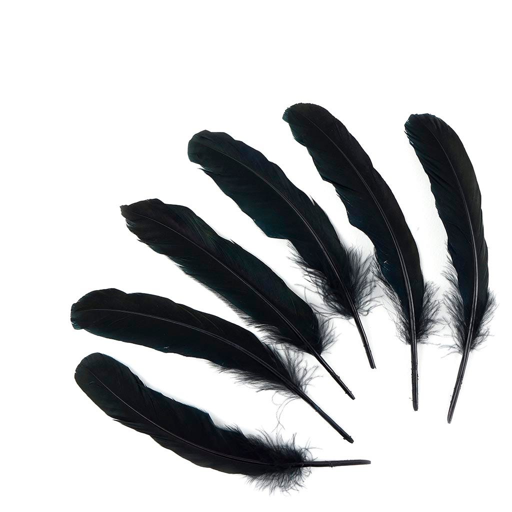 Goose Favion Feathers - Black - Iridescent - Feathers