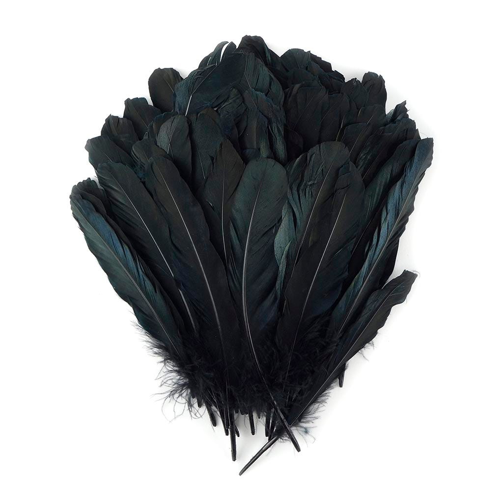 Goose Favion Feathers - Black - Iridescent - Feathers