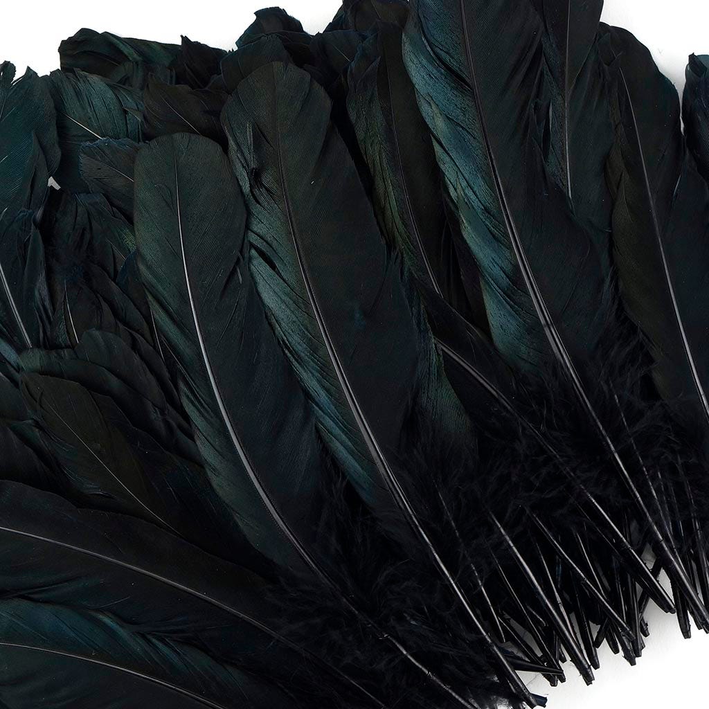 Goose Favion Feathers - Black - Iridescent - Feathers