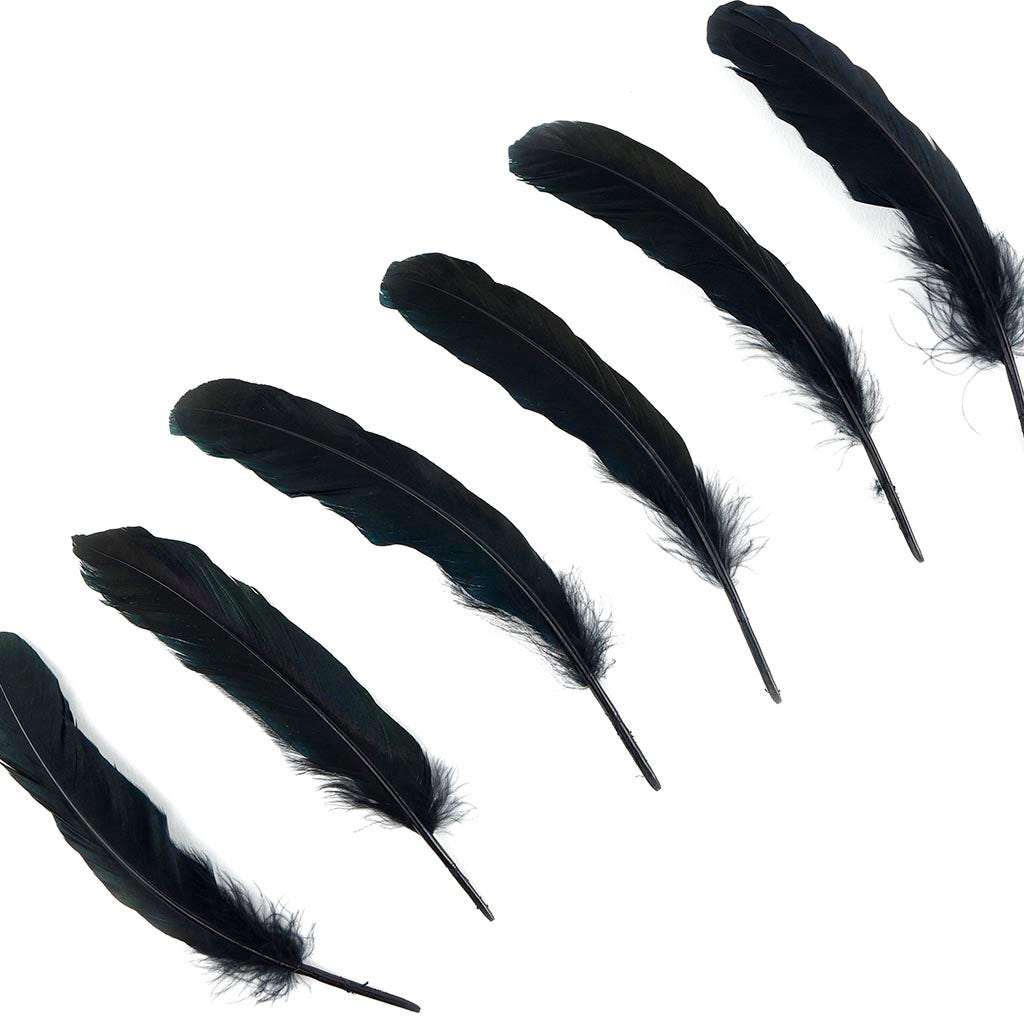 Goose Favion Feathers - Black - Iridescent - Feathers