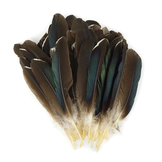 Goose Favion Feathers Natural - Feathers