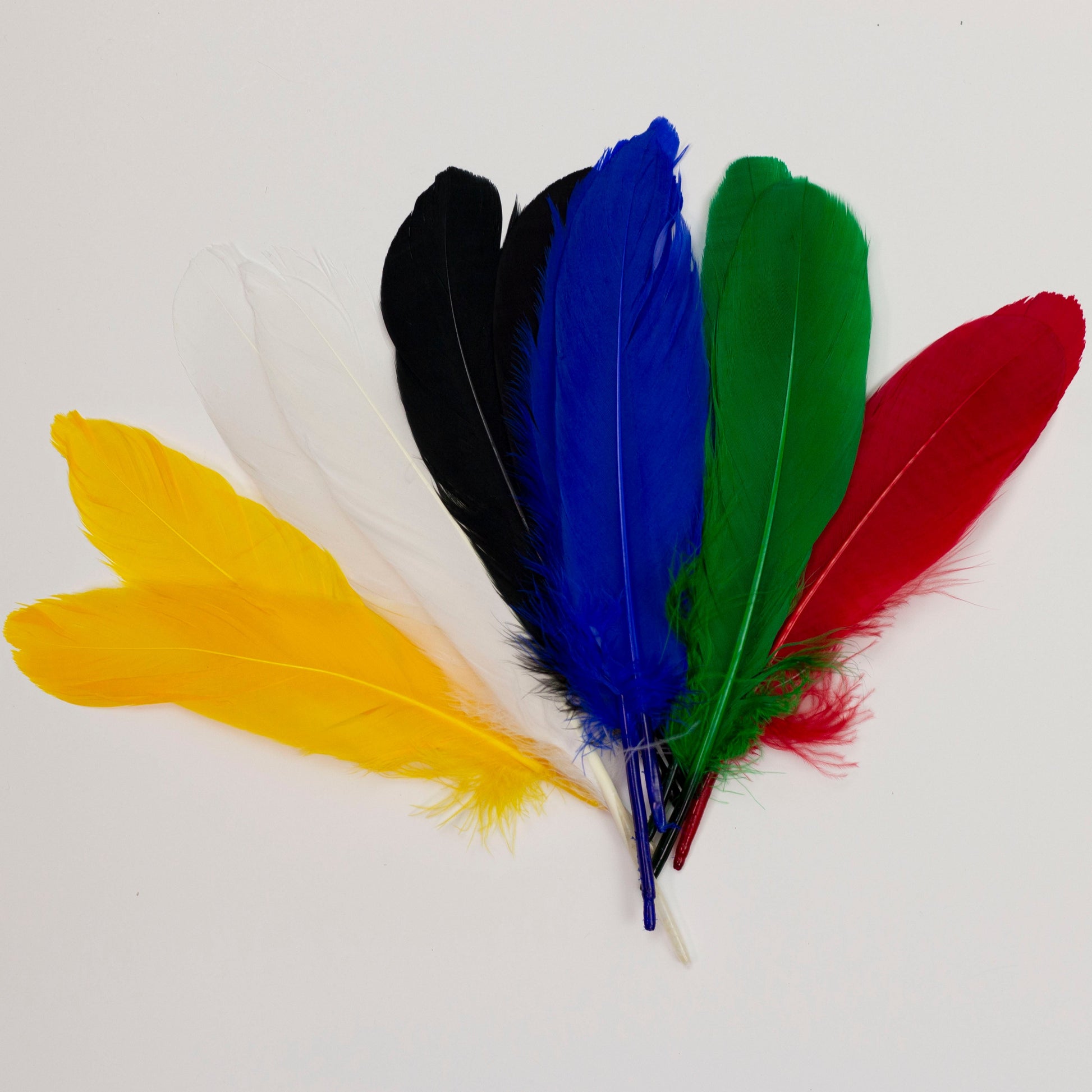 Goose Feathers 7-8’’ - 12 pcs - Assorted Mix