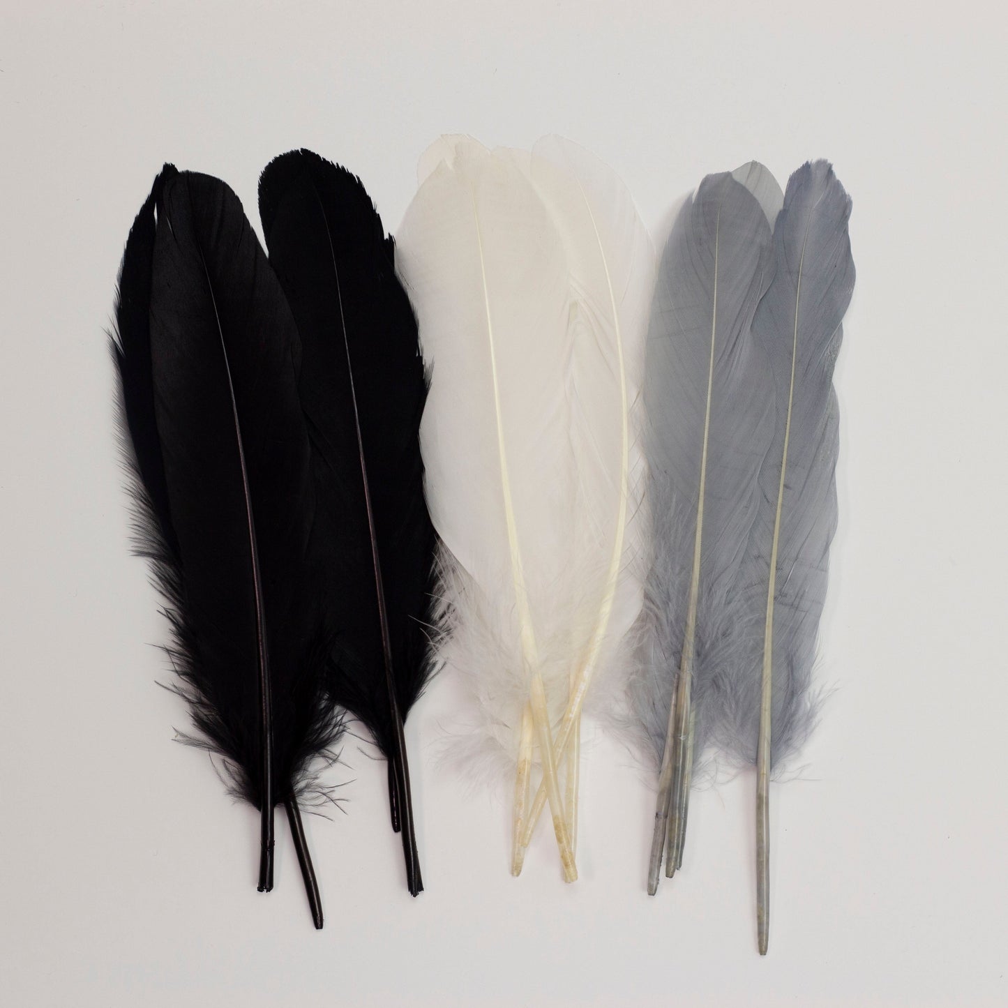 Goose Feathers 7-8’’ - 12 pcs - Black and White