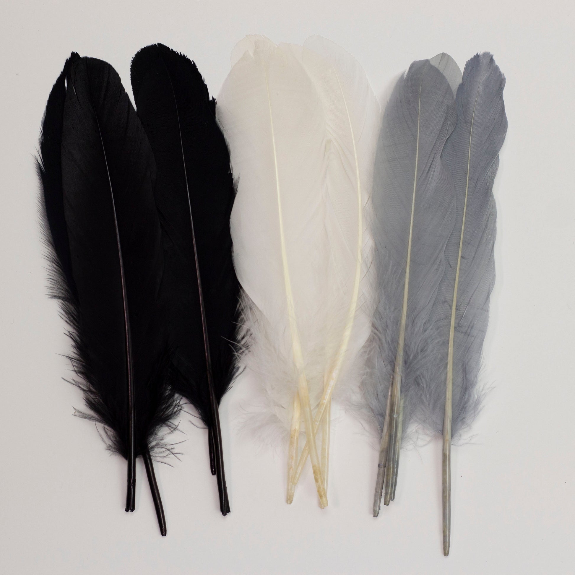 Goose Feathers 7-8’’ - 12 pcs - Black and White