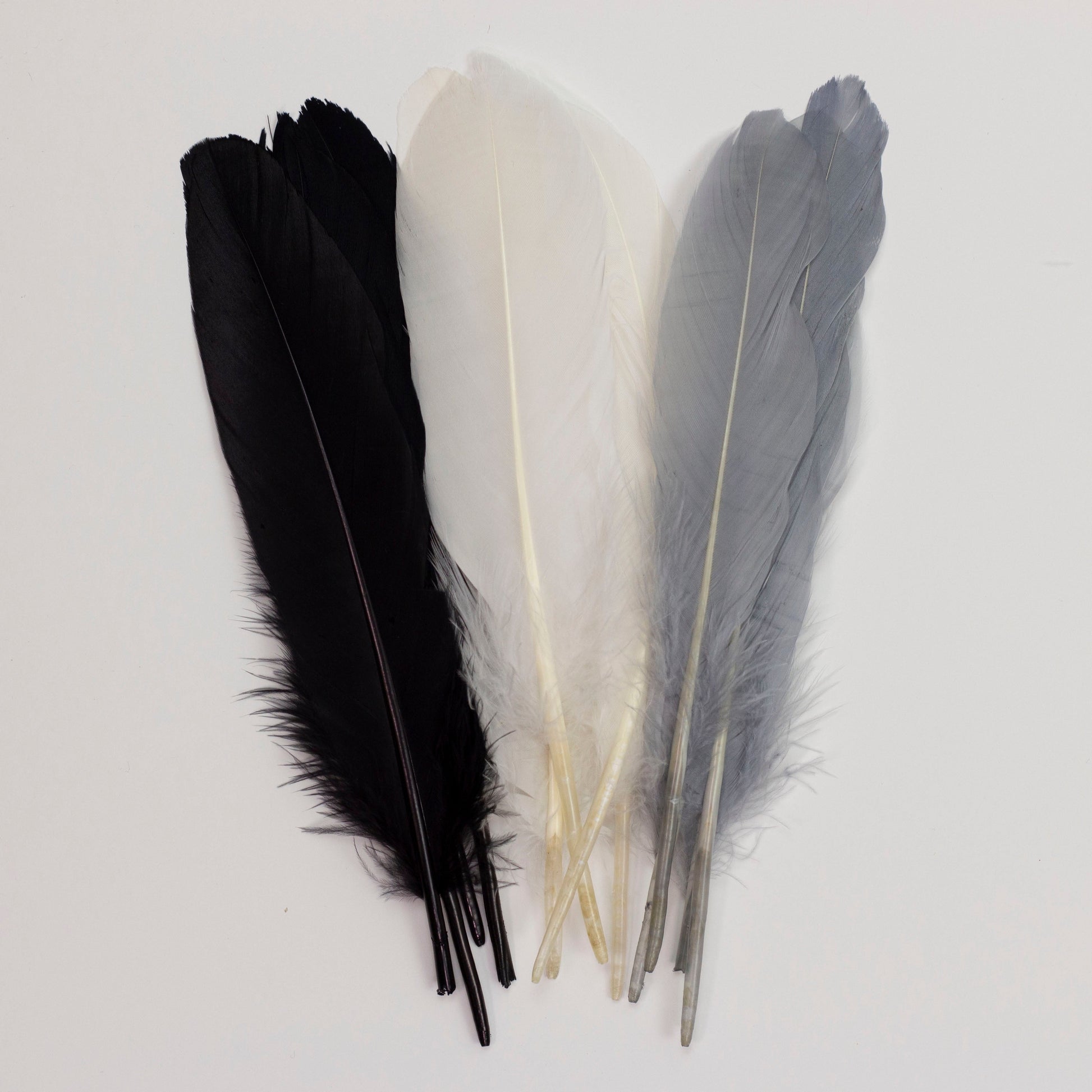 Goose Feathers 7-8’’ - 12 pcs - Black and White