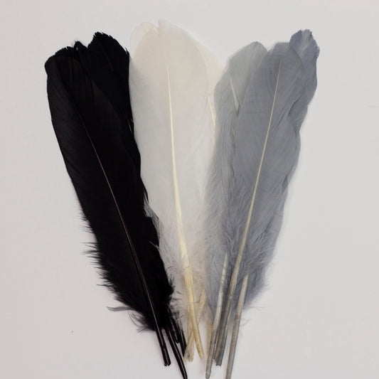 Goose Feathers 7-8’’ - 12 pcs - Black and White