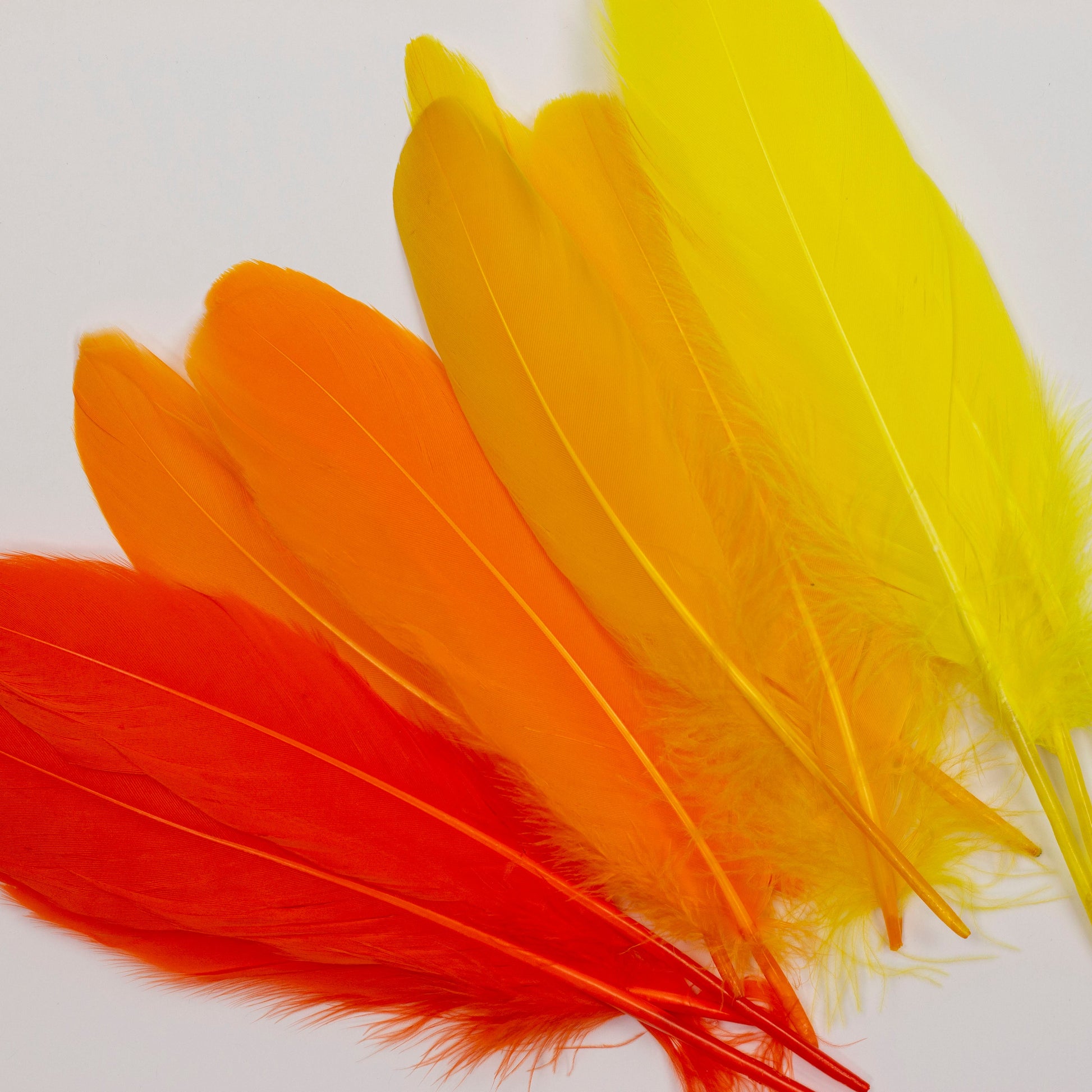 Goose Feathers 7-8’’ - 12 pcs - Fire Mix - Goose Feathers