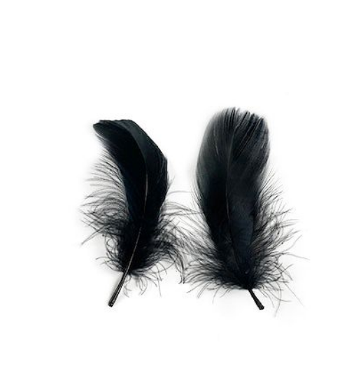 Goose Nagoire Loose 4-6’’ Black 1 - Feathers