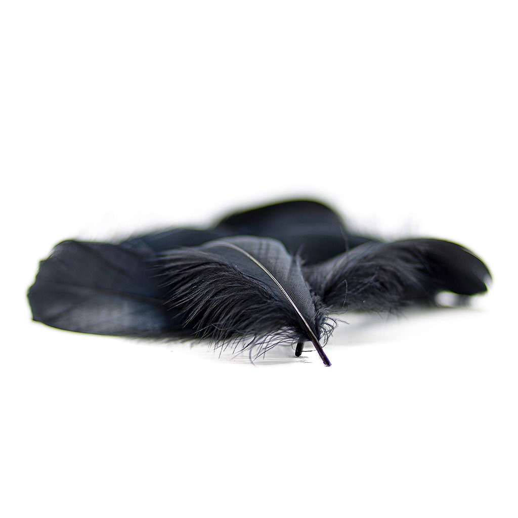 Goose Nagoire Loose 4-6’’ Black - Feathers