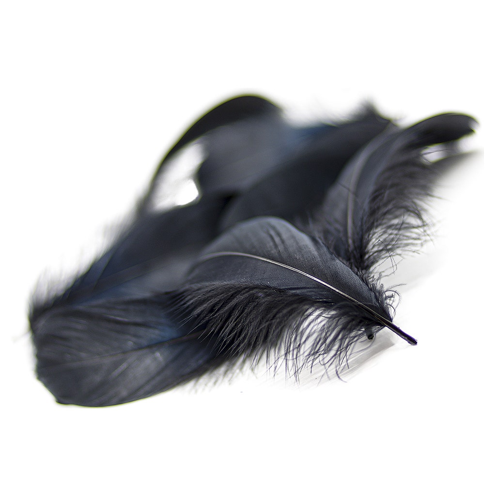 Goose Nagoire Loose 4-6’’ Black - Feathers