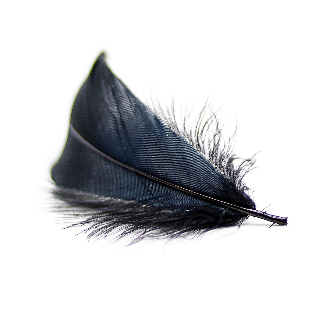 Goose Nagoire Loose 4-6’’ Black - Feathers