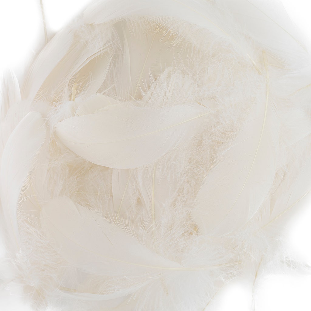 Goose Nagoire Loose 4-6’’ - Ivory - Feathers