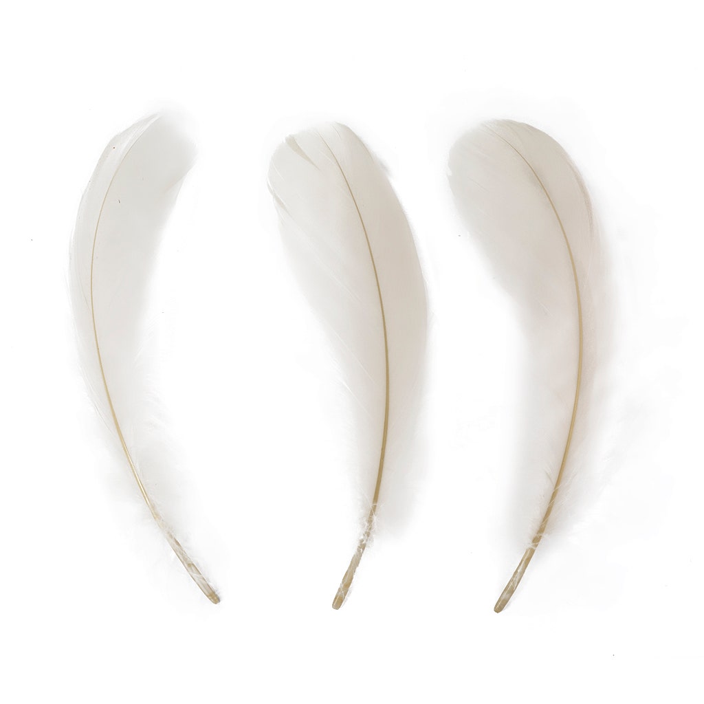 Goose Nagoire Loose 4-6’’ - Ivory - Feathers