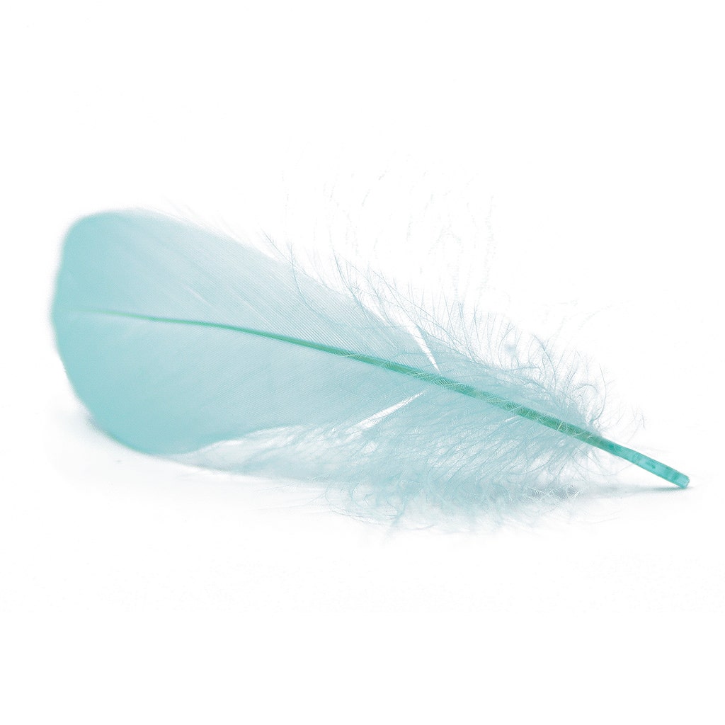 Goose Nagoire Loose 4-6’’ - Mint - Feathers