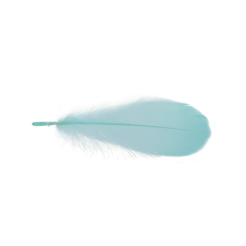 Goose Nagoire Loose 4-6’’ - Mint - Feathers