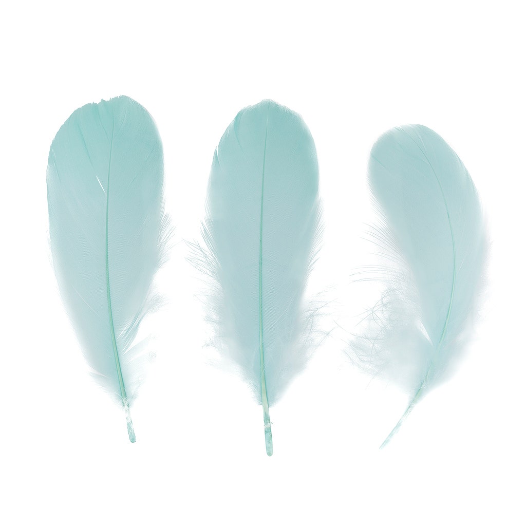 Goose Nagoire Loose 4-6’’ - Mint - Feathers