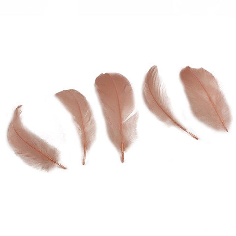 Goose Nagoire Loose Feathers 4-6’’ - Champagne - Feathers