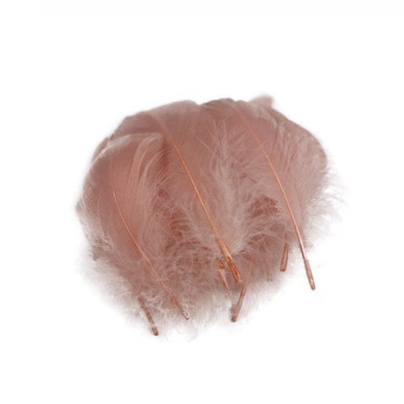 Goose Nagoire Loose Feathers 4-6’’ - Champagne - Feathers