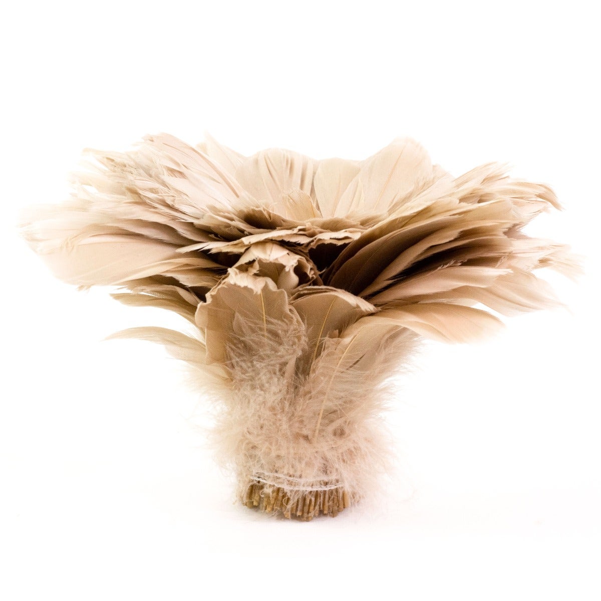 Goose Nagorie Dyed Feathers -Beige - Feathers