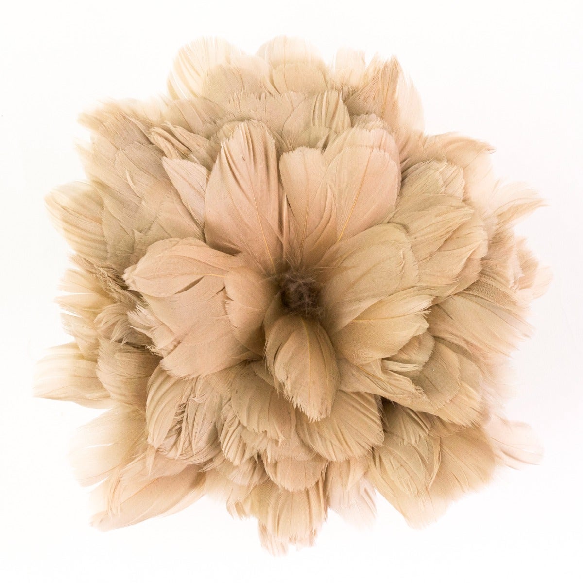 Goose Nagorie Dyed Feathers -Beige - Feathers