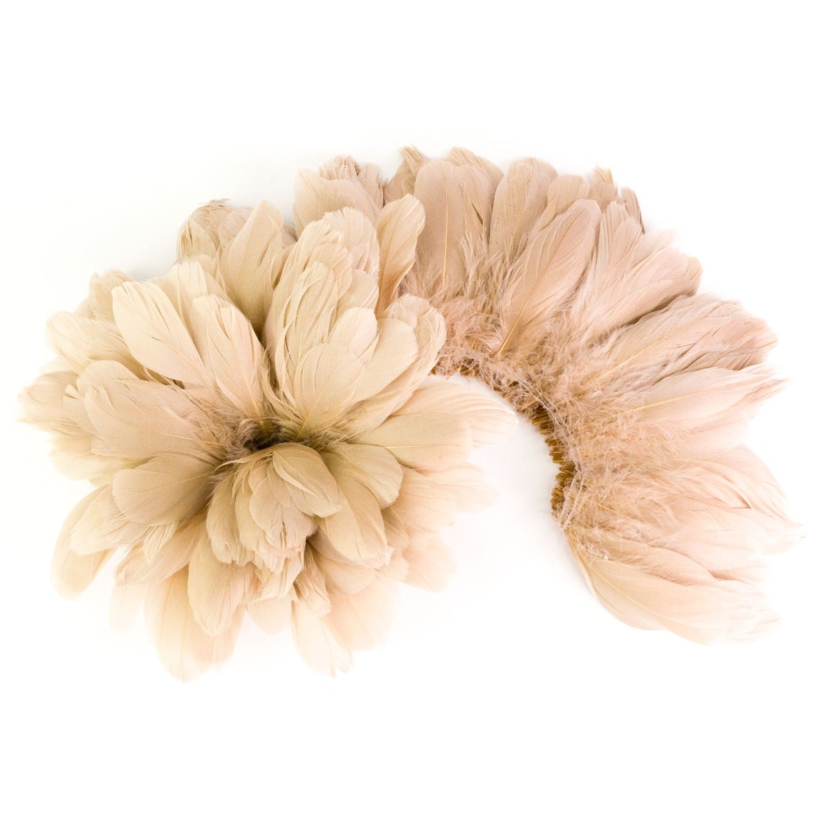 Goose Nagorie Dyed Feathers -Beige - Feathers