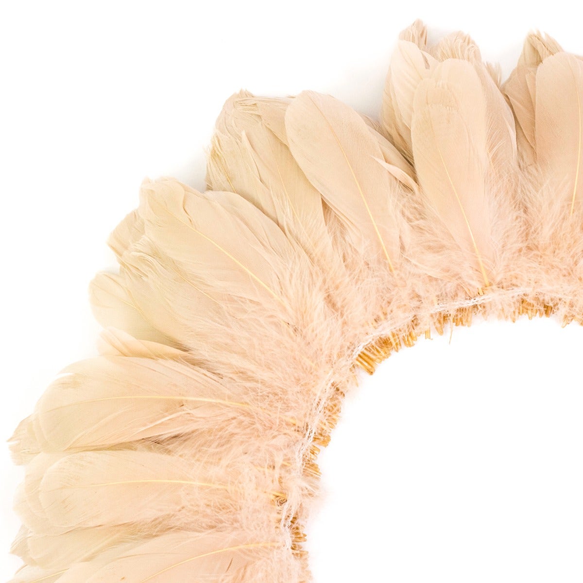 Goose Nagorie Dyed Feathers -Beige - Feathers