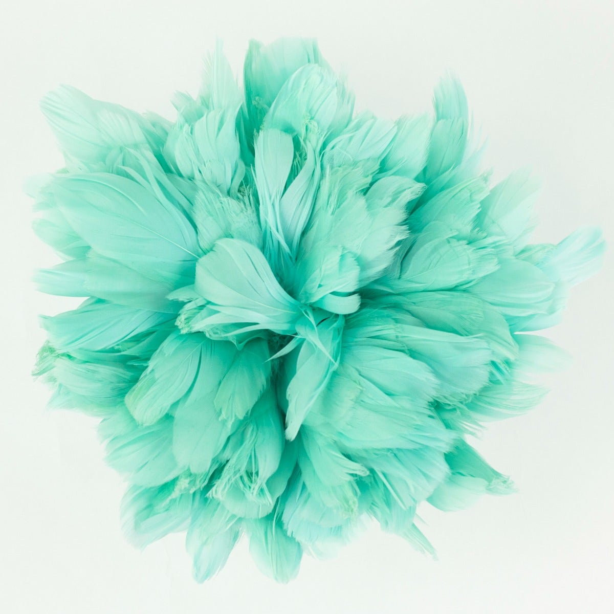 Goose Nagorie Dyed Feathers -Mint - Feathers