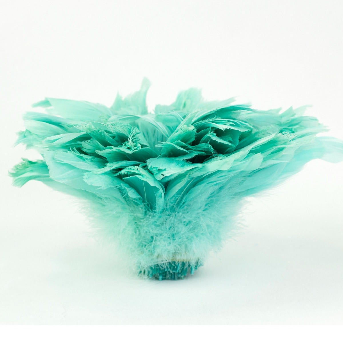 Goose Nagorie Dyed Feathers -Mint - Feathers