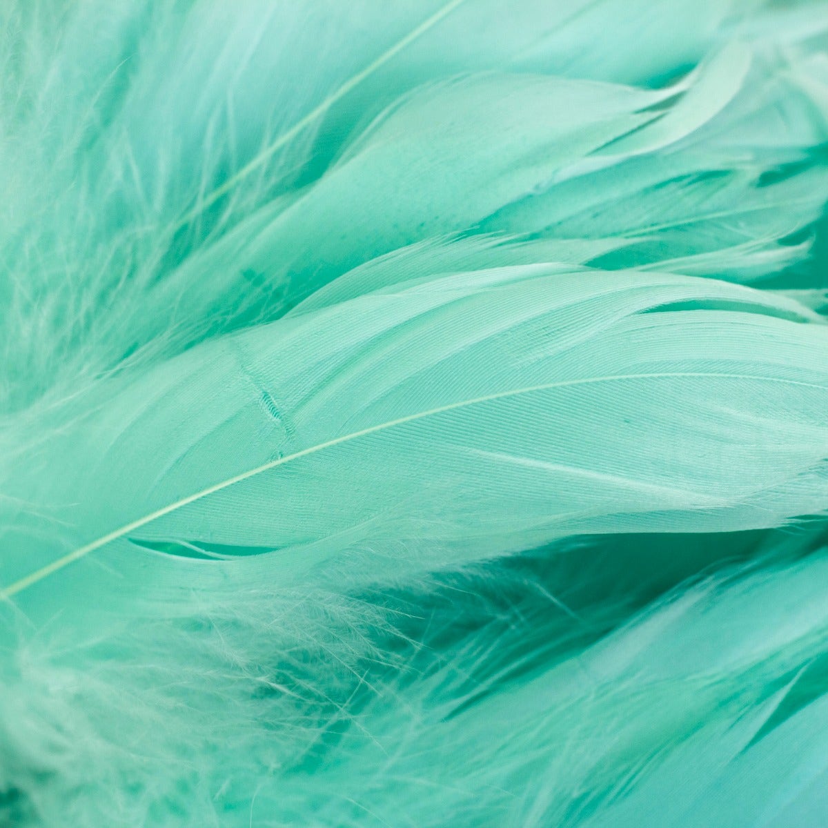 Goose Nagorie Dyed Feathers -Mint - Feathers