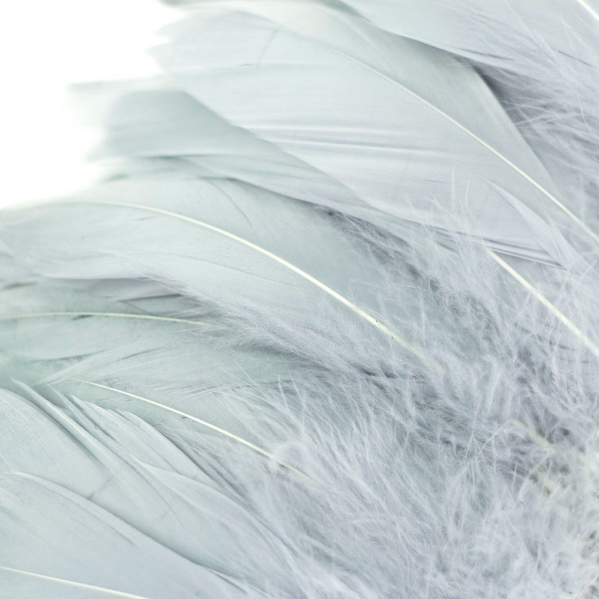 Goose Nagorie Dyed Feathers -Silver - Feathers