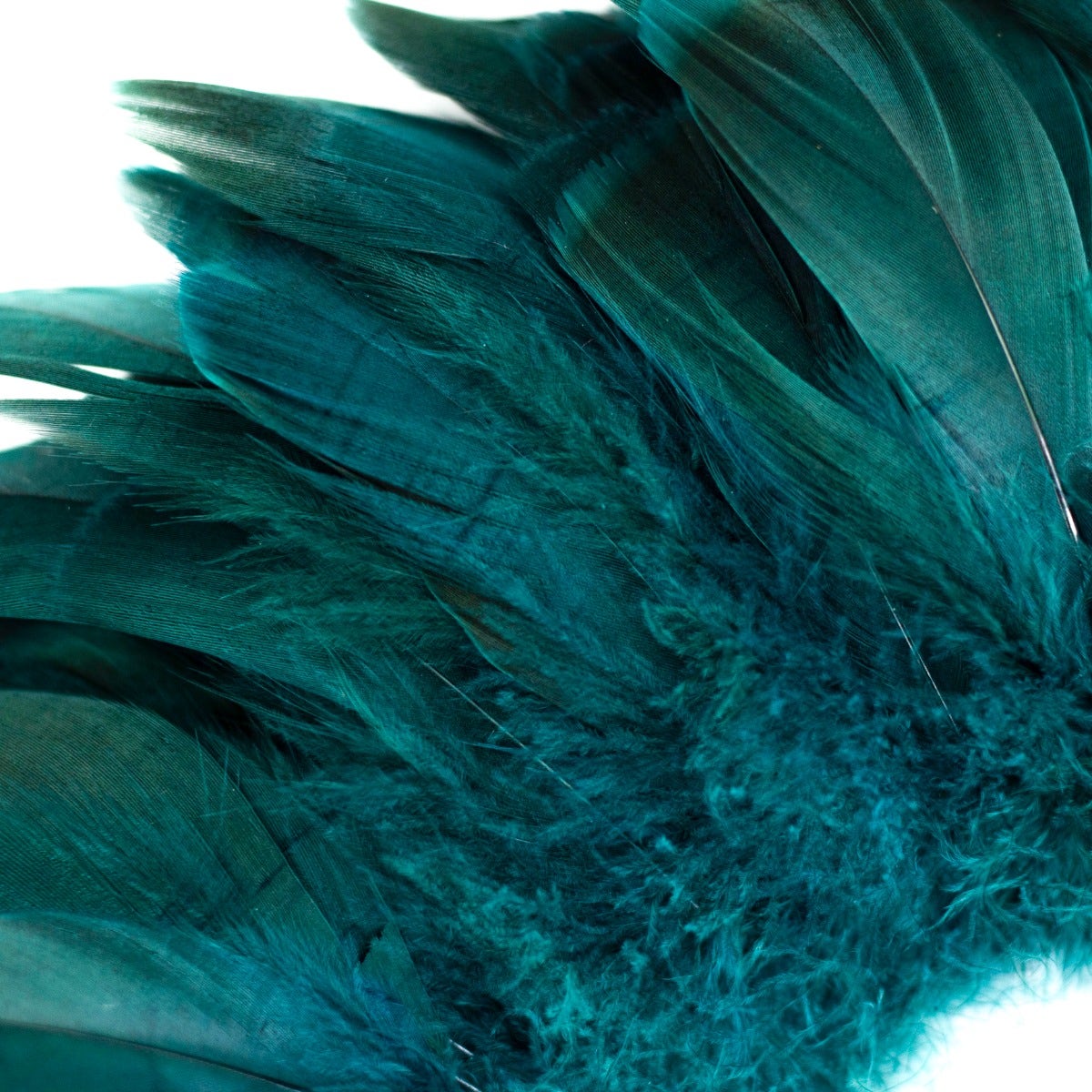 Goose Nagorie Dyed Feathers -Teal - Feathers