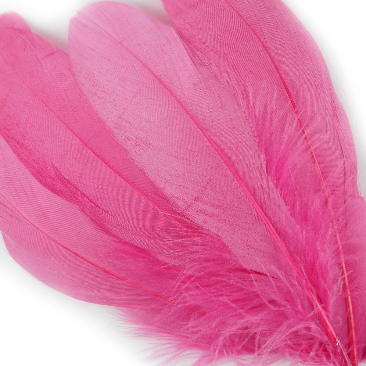 GOOSE PALLET 6-8’’ 12PC/PKG - Raspberry Sorbet - Feathers